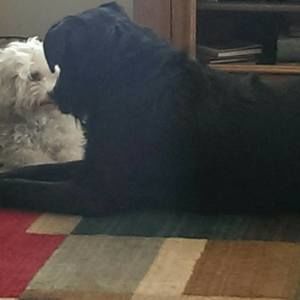 Meet your Posher, Barbara